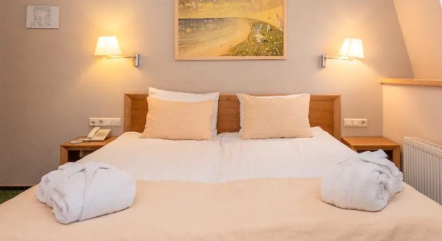 Одноместный номер Standard Euterpe Hotel