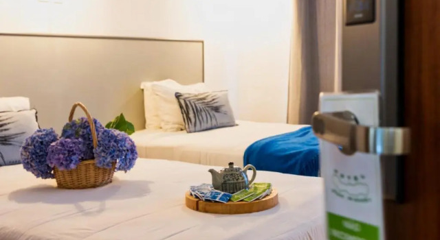 Двухместный номер Standard Hotel São Miguel