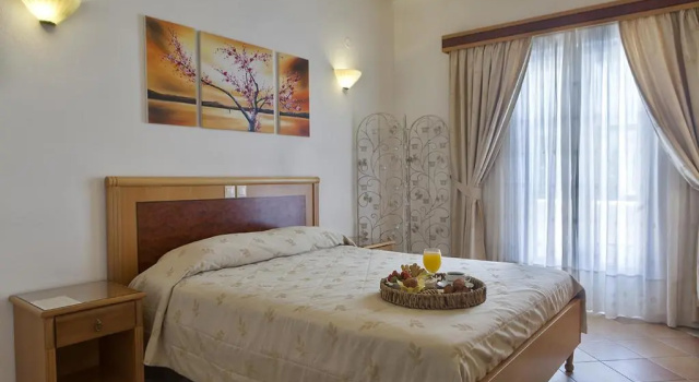 Двухместный номер Standard Hotel Anatolia