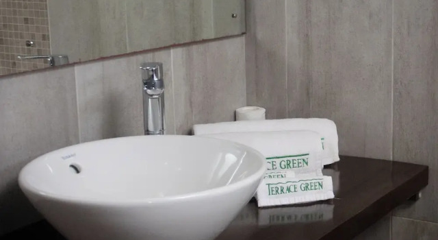 Одноместный номер Deluxe с балконом Terrace Green Hotel and Spa