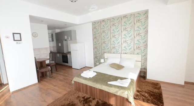 Студия Classic Mosilor Apartments