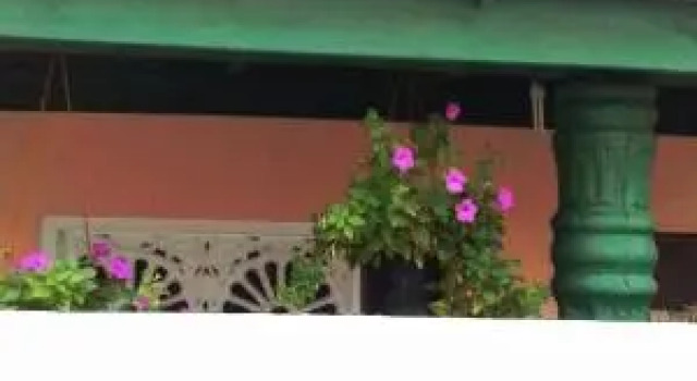 Neesha Hostel, Забронировать Хостел Отели Западной провинции с завтраком, Завтраки