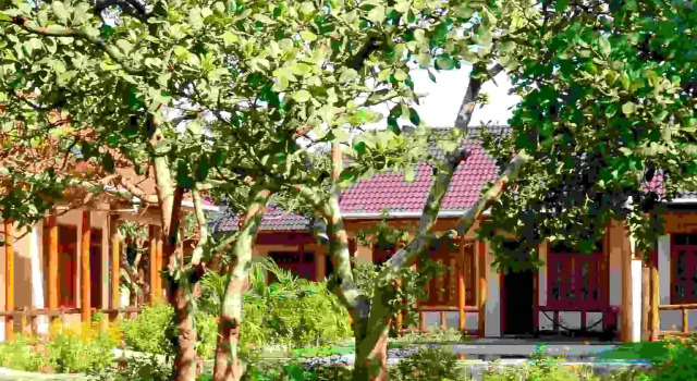 Бунгало Thuy Van Bungalow
