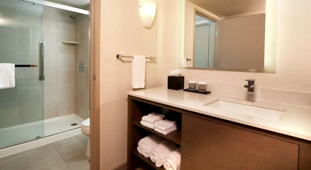Двухместный люкс с 2 комнатами с видом на горы Embassy Suites by Hilton Phoenix Scottsdale