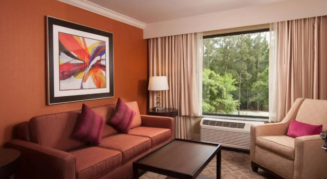Полулюкс c 1 комнатой Delta Hotels by Marriott Orlando Lake Buena Vista