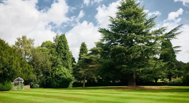 Номер Superior Mottram Hall