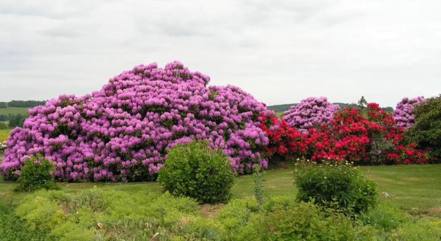 Коттедж Gîte Des Prés Berthe