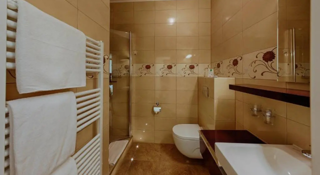 Трёхместный номер Standard Strandhotel Buckow Resort & SPA gut-Hotels SEE