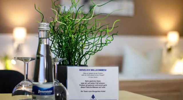 Одноместный номер Standard с балконом Kurgarten-Hotel