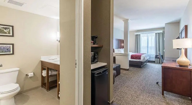 Люкс Standard Comfort Suites Kyle