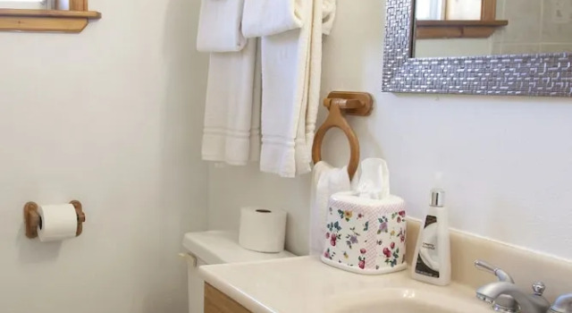 Номер Deluxe Park Row Lodge