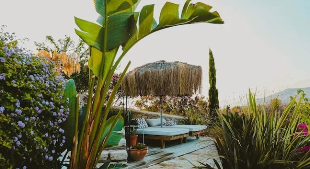 Datca Damyan Ciftligi, Rezervovat Hotel Hotely v Mugla se snídaní, Snídaně