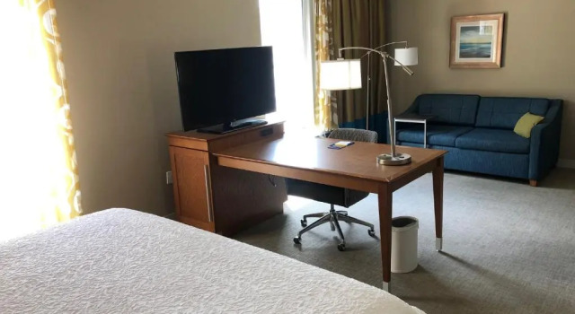 Люкс-студио Accessible Hampton Inn & Suites by Hilton Tampa Busch Gardens Area