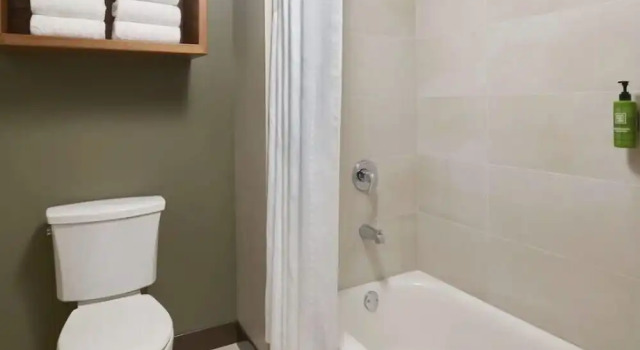 Люкс Great Wolf Lodge Naples