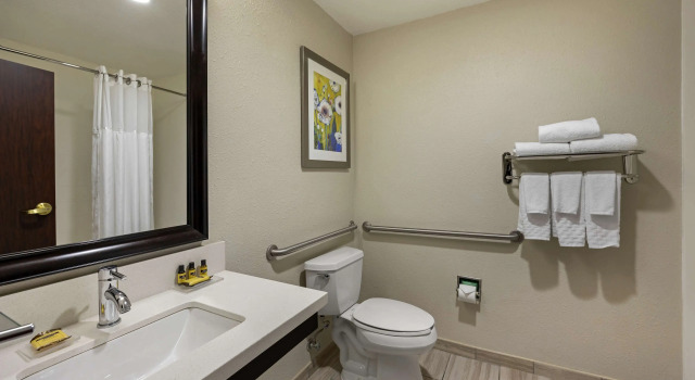 Двухместный люкс Best Western Plus Nashville Airport Hotel - BNA