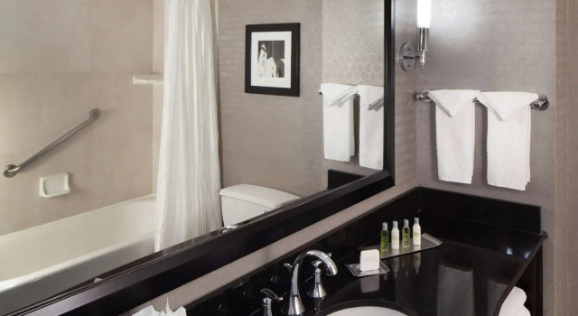 Четырёхместный номер Deluxe DoubleTree by Hilton El Paso Downtown