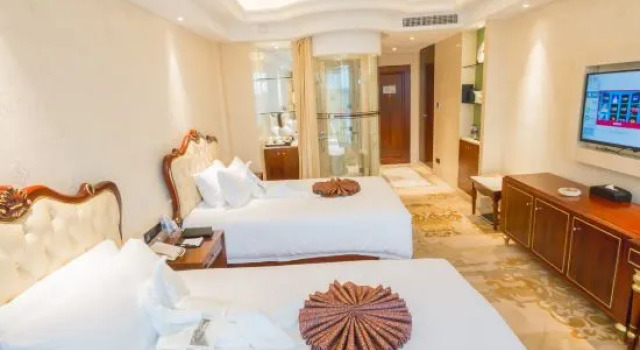 Двухместный номер Executive Longyou International Hotel