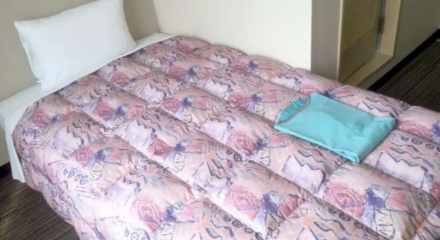 Двухместный номер Hotel Niihama Hills Prince House