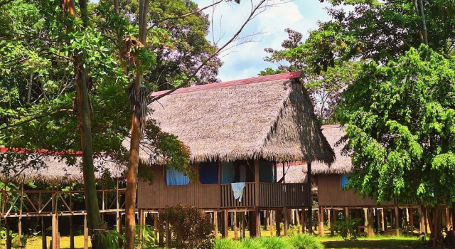 Номер Deluxe Amazon Curassow Lodge and Expeditions