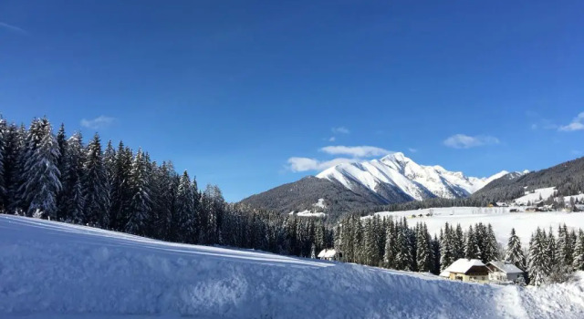 Апартаменты Ferienhaus Alpenblick