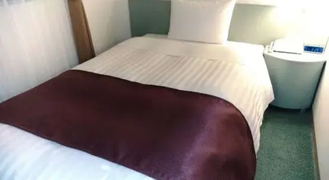 Номер Standard Urban Hotel Twins Chofu