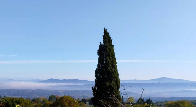 Апартаменты c 1 комнатой Il Borgo Del Lupo Relax Family Apartments in Tuscany with Restaurant & Swimming Pool