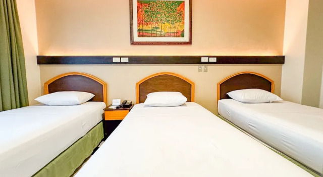 Трёхместный номер Comfort GH Alexander Hotel