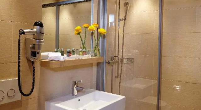 Одноместный номер Standard Rivage Hotel Restaurant Lutry
