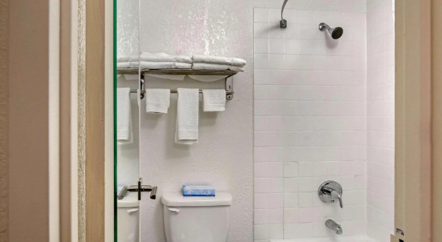 Четырёхместный номер Standard Quality Inn & Suites Ruther Glen