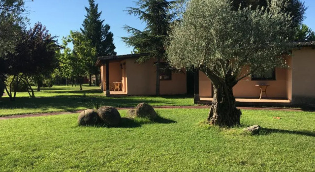 Бунгало Hotel El Mirlo Blanco