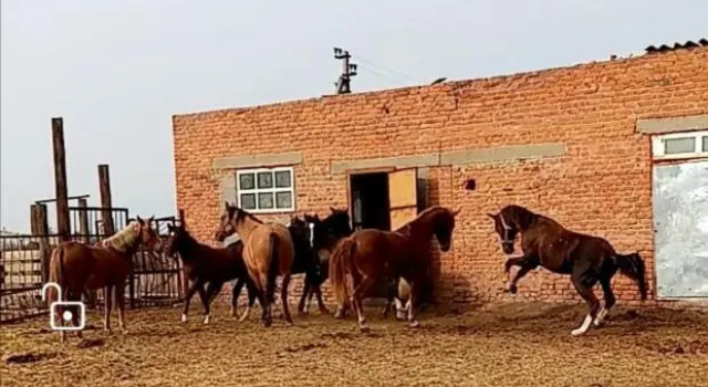Станица Черноярская