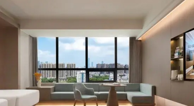 Люкс Business Dinghe Hotel