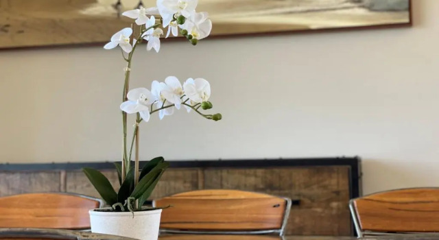 Апартаменты с 3 комнатами Barwon Heads Resort