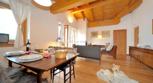 Attic Campiglio Style 7