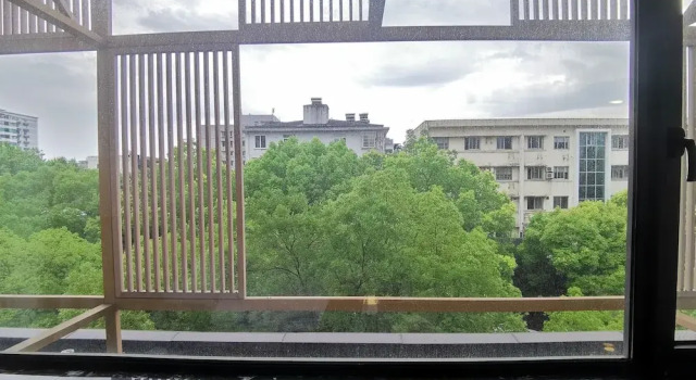 Номер Standard с видом на город Zheda Yuanzheng Lanshe Hotel