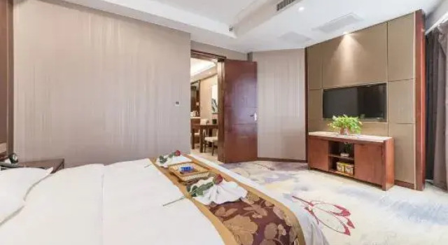 Люкс Business Wanyou Hotel