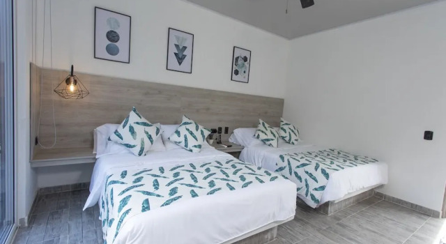 Номер Comfort Hotel Natural Hills by H&R