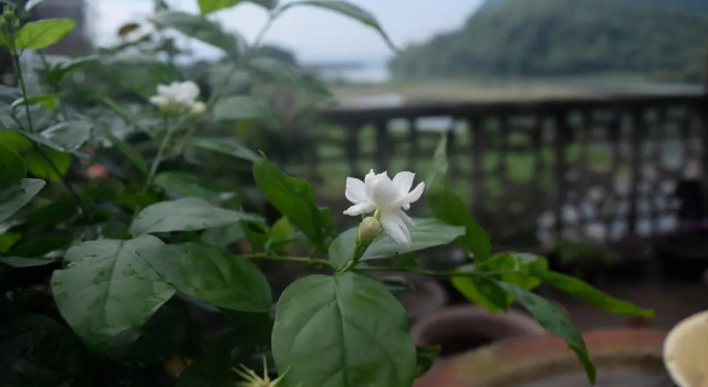 Old Street Impression Hostel, Buchen Sie Hostel Guilin Guangxi Zhuang Autonomous Region