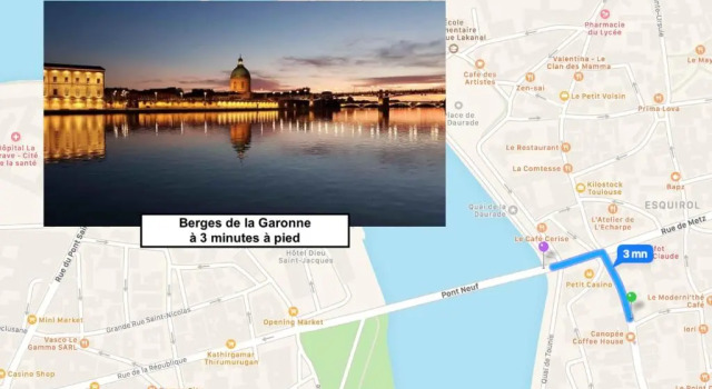 Апартаменты L'Estival - Appartement au calme Toulouse Hypercentre