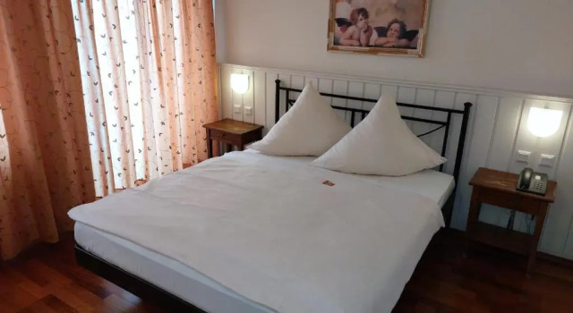 Hotel Goldener Stern, Book Hotel Sankt Ingbert Saarland