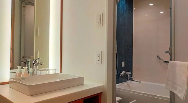 Номер Deluxe Keisei Richmond Hotel Tokyo Oshiage