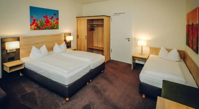 Трёхместный номер Standard Hotel Europa