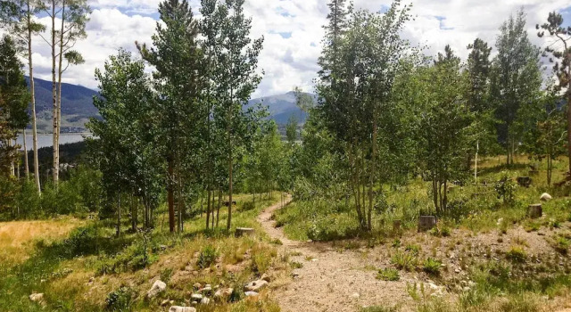 Апартаменты Newly Remodeled Mtn-view Condo in Silverthorne