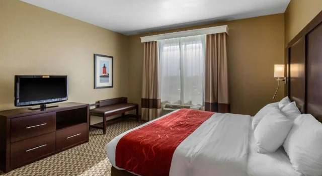 Люкс Comfort Suites Seaford