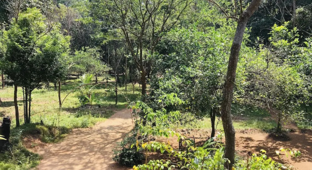 Коттедж Deluxe Ruk Sewana Villa Tree House