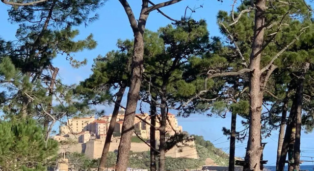 Апартаменты Appartement neuf sur Plage de Calvi Vue Mer