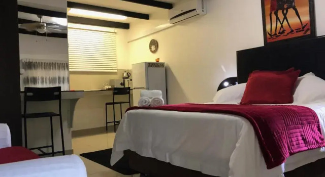 Номер Deluxe Francor Guesthouse
