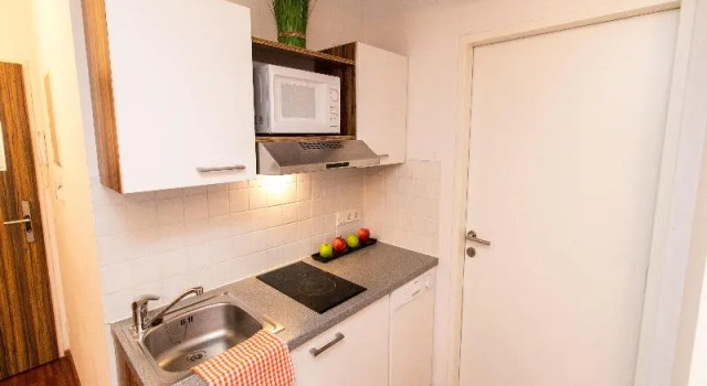 Студия Comfort Royal Living Apartments Vienna