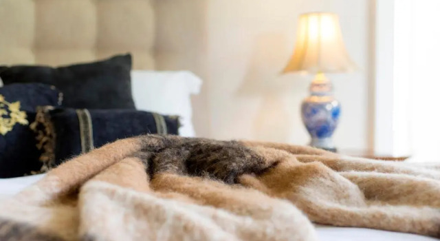Люкс с видом на сад Arcoona Manor