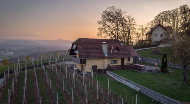 Апартаменты Vineyard Cottage Hocevar